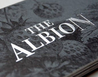 THE ALBION